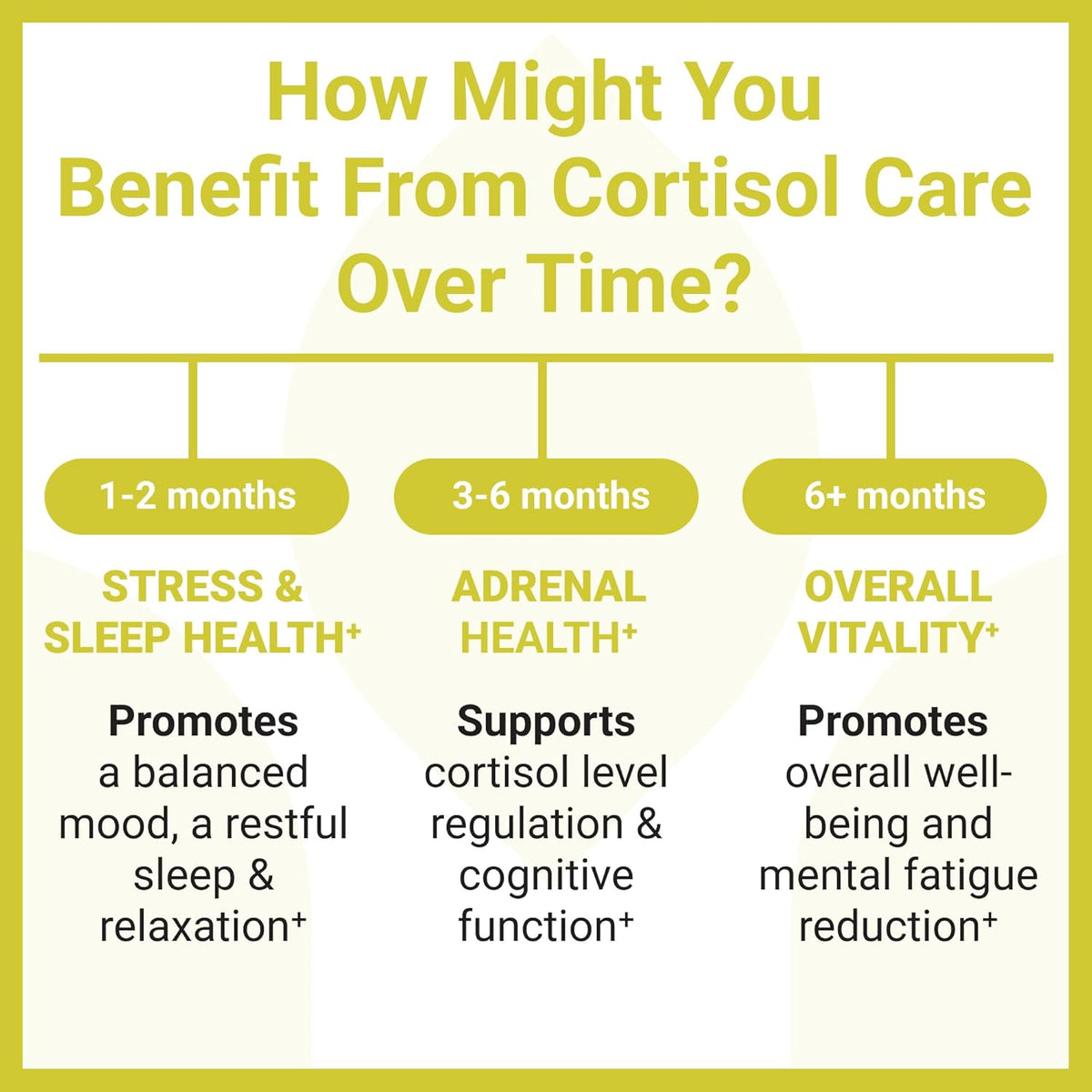 Cortisol Care