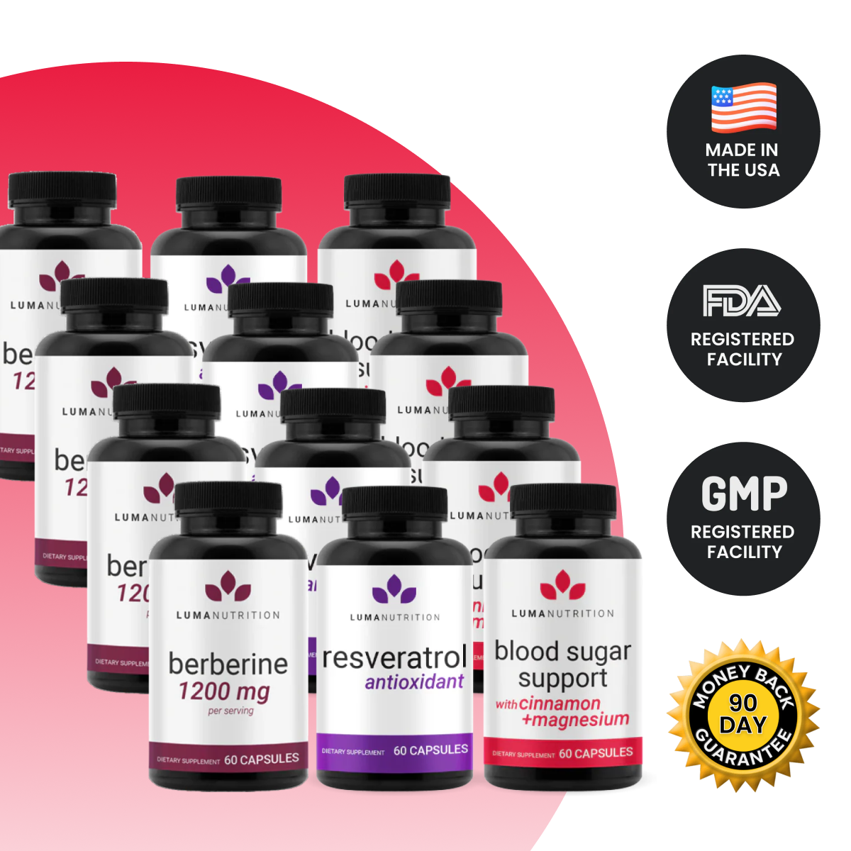 Blood Sugar Reset Protocol (4 Month Supply)