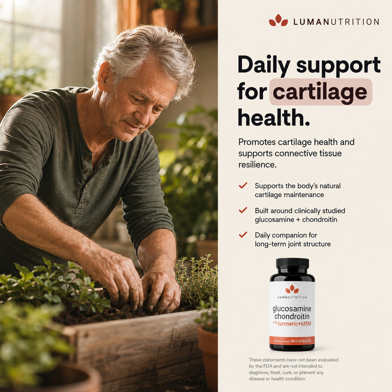 Glucosamine Chondroitin MSM