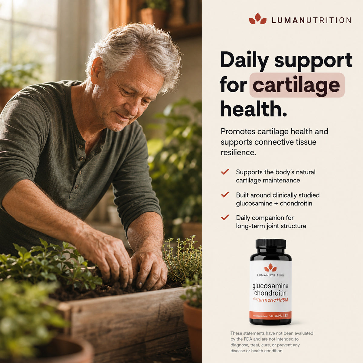 Glucosamine Chondroitin MSM