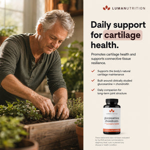 Glucosamine Chondroitin MSM