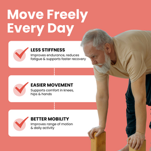 Glucosamine Chondroitin MSM