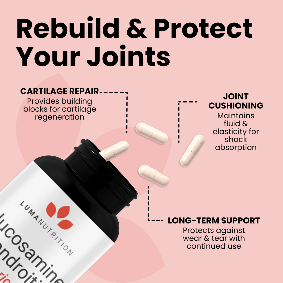 Glucosamine Chondroitin MSM