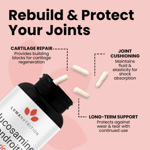 Glucosamine Chondroitin MSM