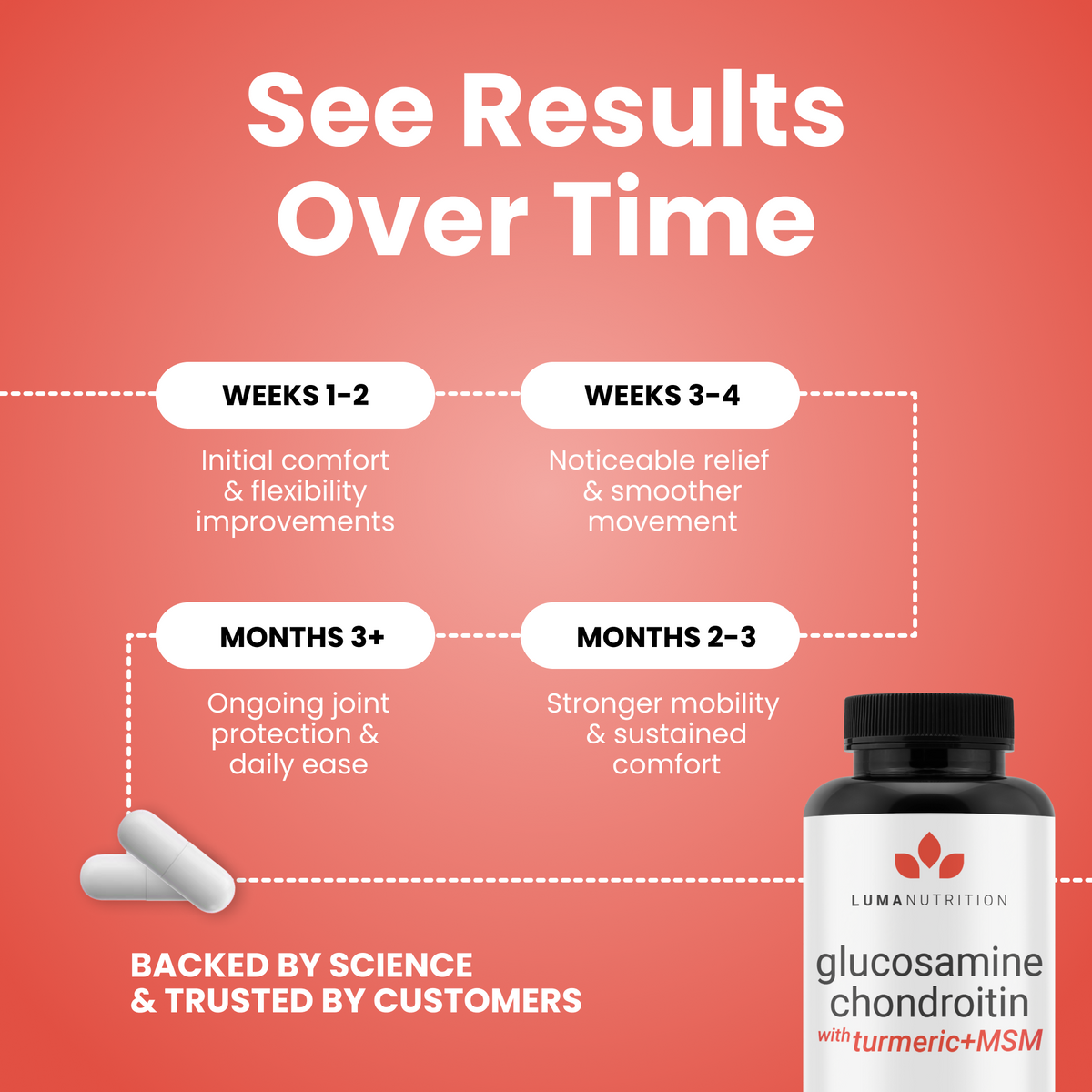 Glucosamine Chondroitin MSM