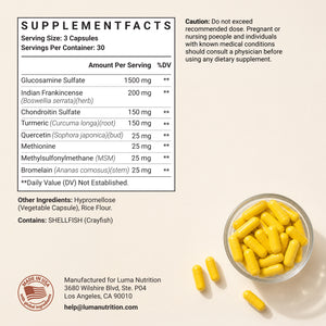Glucosamine Chondroitin MSM