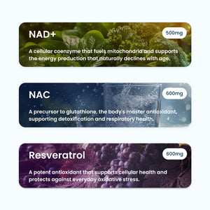 Longevity Protocol