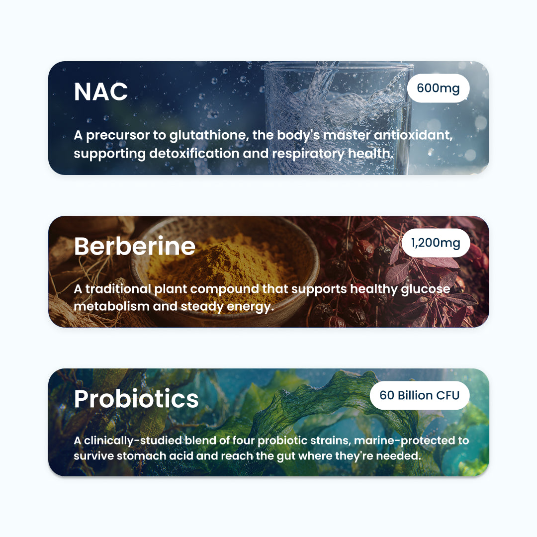 Gut Health Protocol