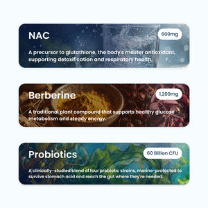 Gut Health Protocol