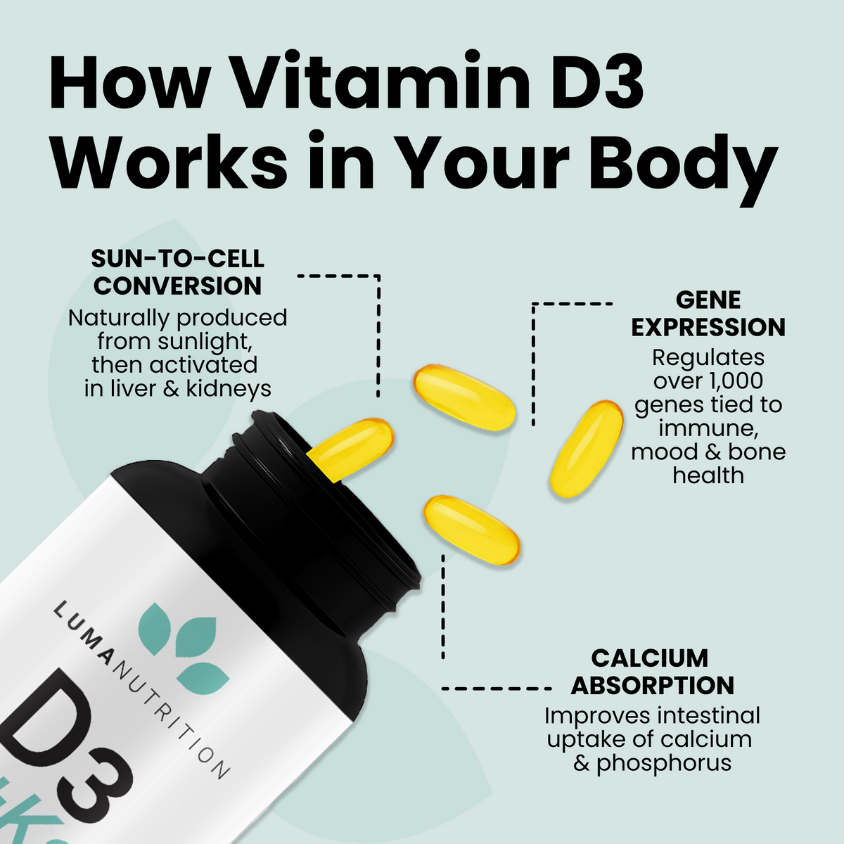 Vitamin D3 + K2