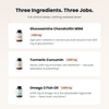 Joint Health Protocol — the three ingredients and their doses