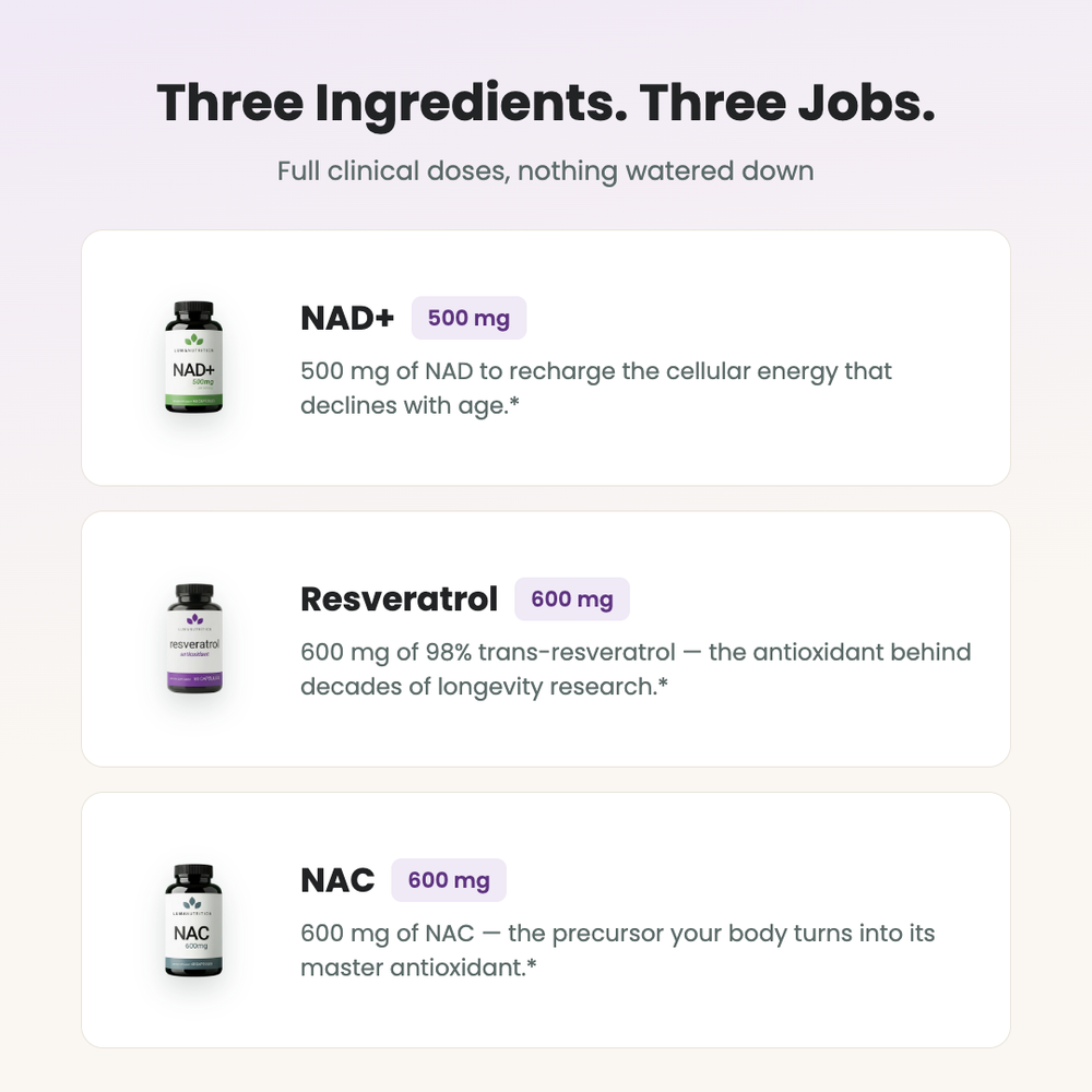 Longevity Protocol — the three ingredients and their doses