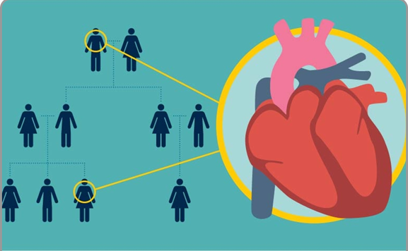 Family heart history