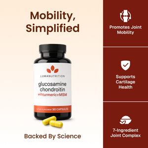Glucosamine Chondroitin MSM PDP infographic