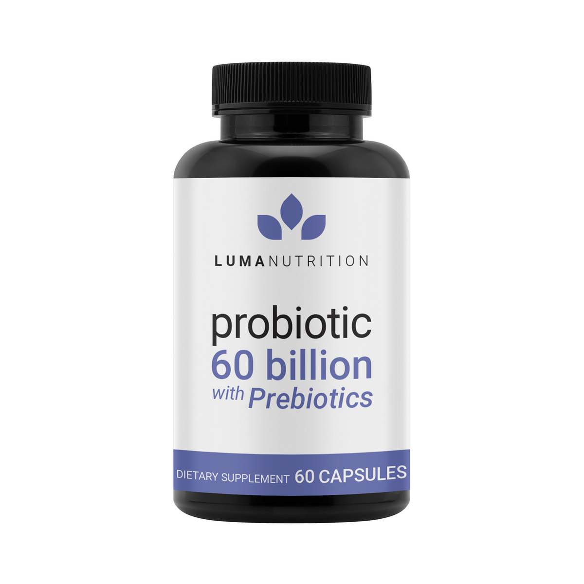 Gut Health Protocol