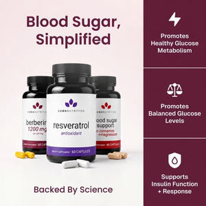 Blood Sugar, Simplified — bundle overview infographic