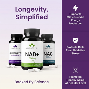 Longevity, Simplified — bundle overview infographic