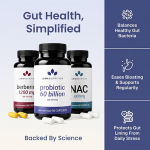 Gut Health, Simplified — bundle overview infographic
