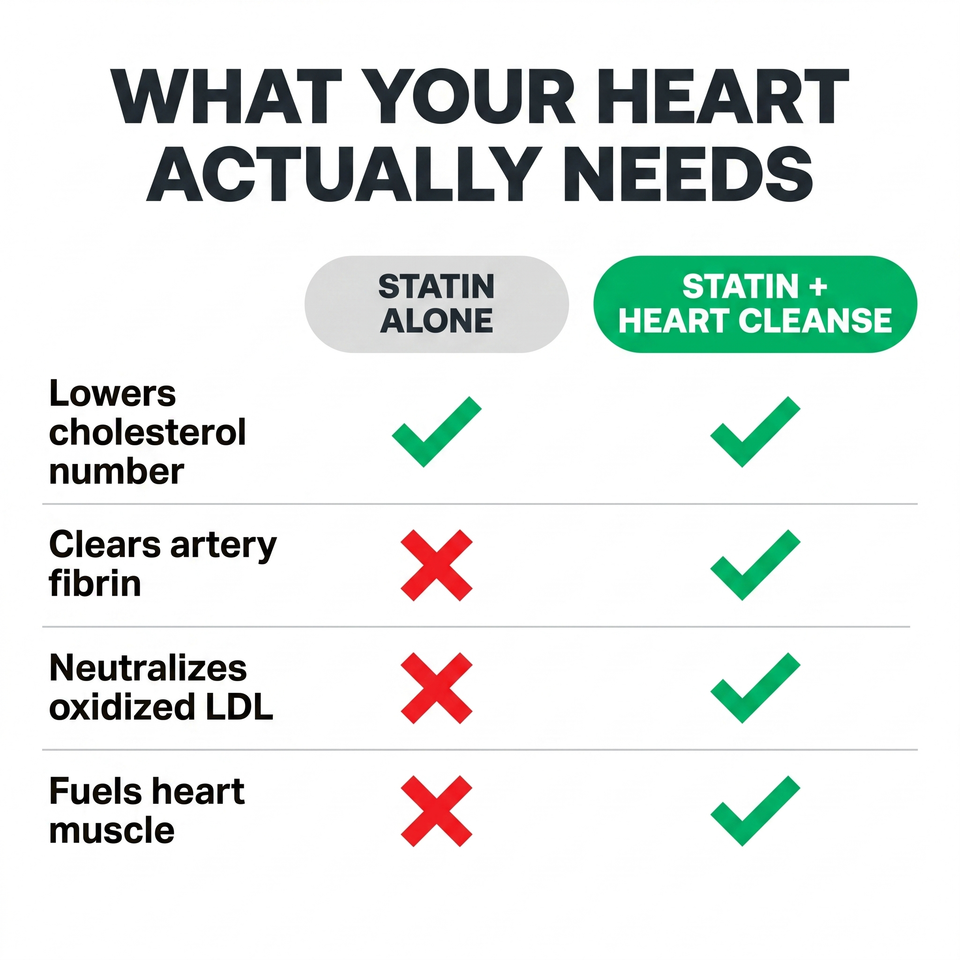 3. Works Alongside Your Statin — Not Against It