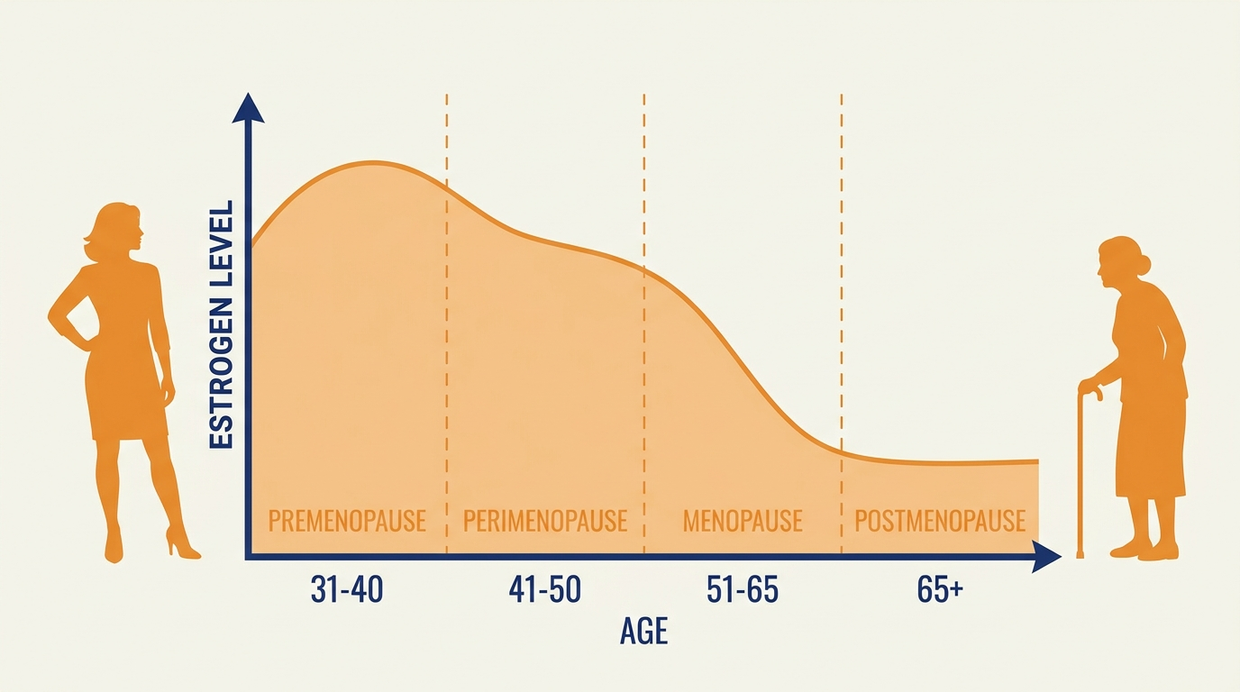 Estrogen decline through menopause and its effect on heart protection
