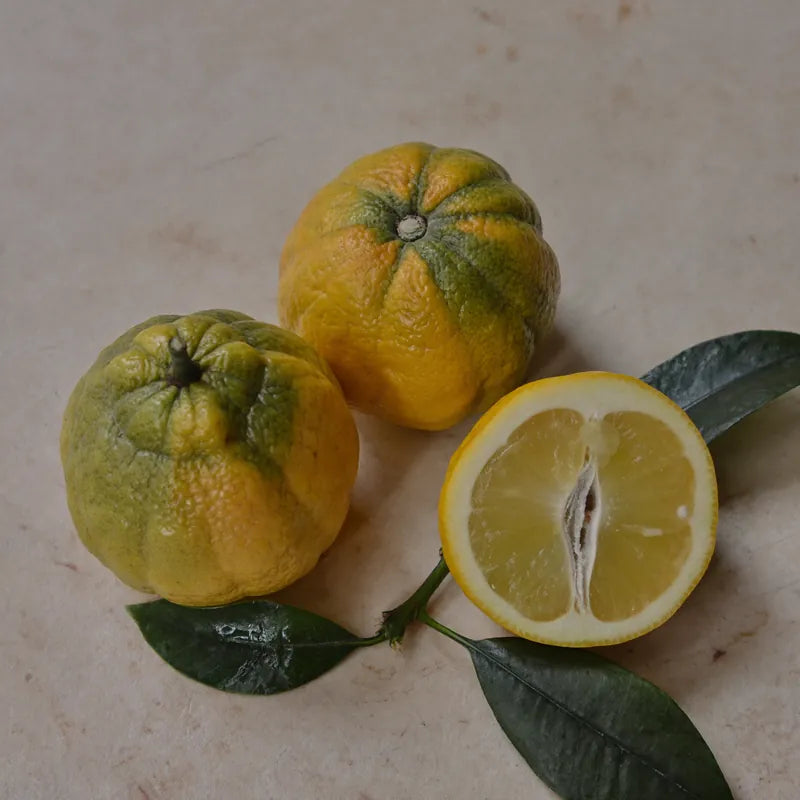 Bergamot citrus fruit