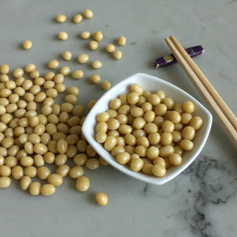 Soybeans and natto, the fermented soybean dish